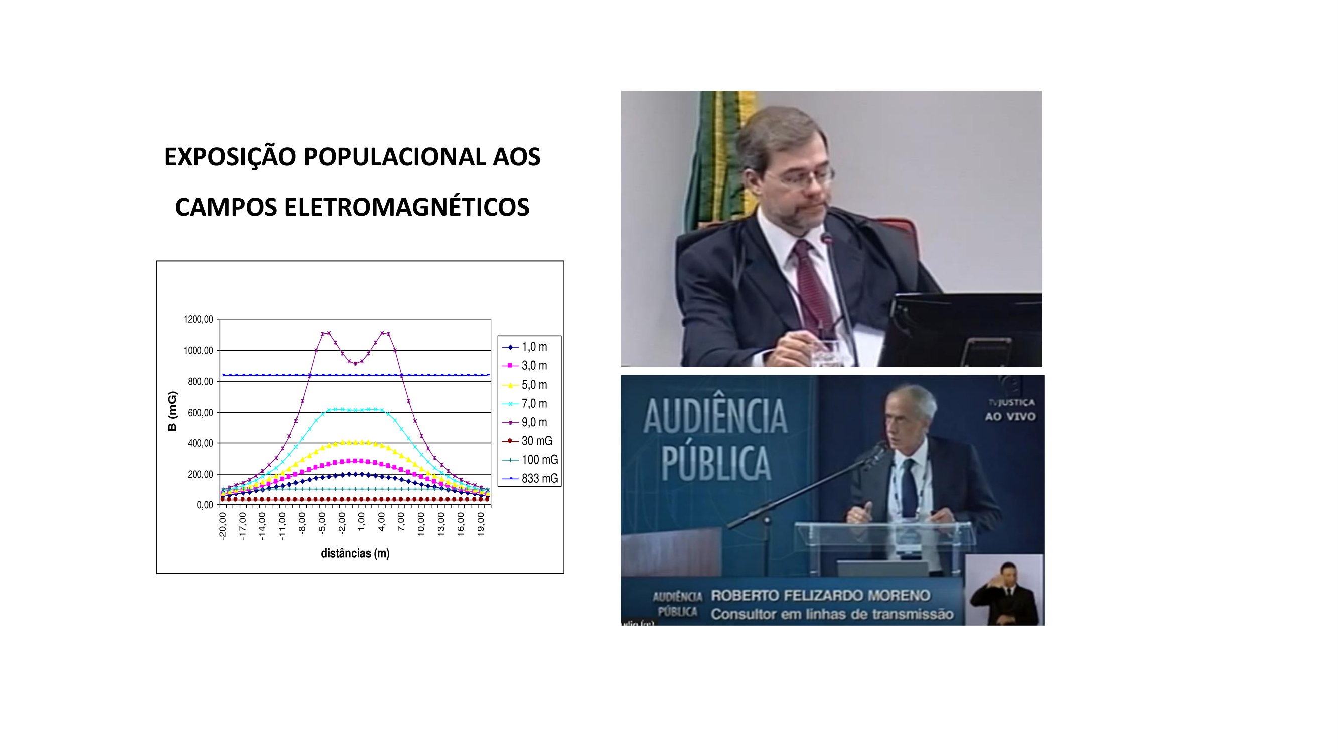 Estudo de campos eletromagnéticos – STF